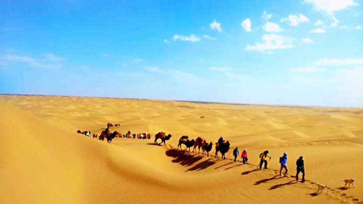 Cách Trung Quốc phủ xanh sa mạc 'Biển tử thần' rộng 330.000km2 - Ảnh 3.