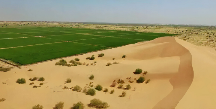Cách Trung Quốc phủ xanh sa mạc 'Biển tử thần' rộng 330.000km2 - Ảnh 5.