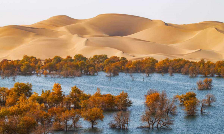 Cách Trung Quốc phủ xanh sa mạc 'Biển tử thần' rộng 330.000km2 - Ảnh 11.