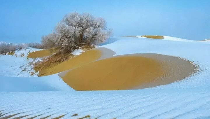Cách Trung Quốc phủ xanh sa mạc 'Biển tử thần' rộng 330.000km2 - Ảnh 4.