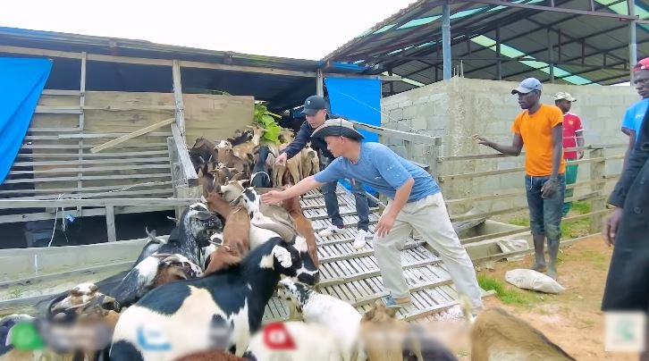 Bị thiệt hại lớn khi vừa mua bò về nuôi, Quang Linh Vlog thú nhận do quyết định sai lầm - Ảnh 4.