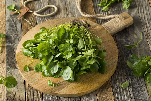 CDC đánh giá rau cải xoong  là “rau tốt nhất thế giới”: Là “thuốc” ngừa ung thư, quen với người Việt
