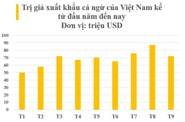 Sở hữu 'bảo bối tỷ đô' được 2/3 thế giới ưa chuộng, Việt Nam thu nửa tỷ USD sau 9 tháng, lọt top 3 'ông trùm' của thế giới - Ảnh 2.