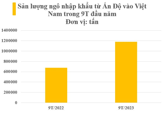 Giá rẻ hấp dẫn, 'báu vật quốc gia' của Ấn Độ ồ ạt về Việt Nam trong 9 tháng đầu năm, là cứu tinh quan trọng cho nhiều mặt hàng xuất khẩu tỷ USD - Ảnh 3.