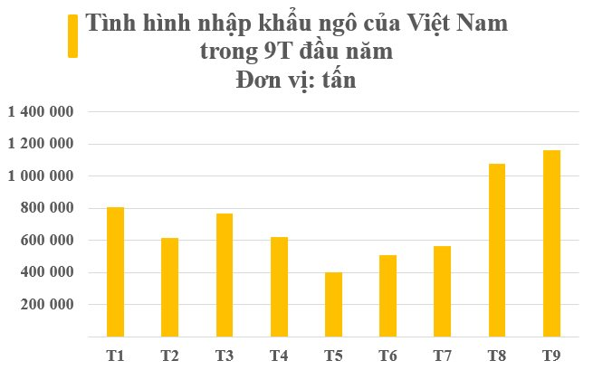 Giá rẻ hấp dẫn, 'báu vật quốc gia' của Ấn Độ ồ ạt về Việt Nam trong 9 tháng đầu năm, là cứu tinh quan trọng cho nhiều mặt hàng xuất khẩu tỷ USD - Ảnh 2.