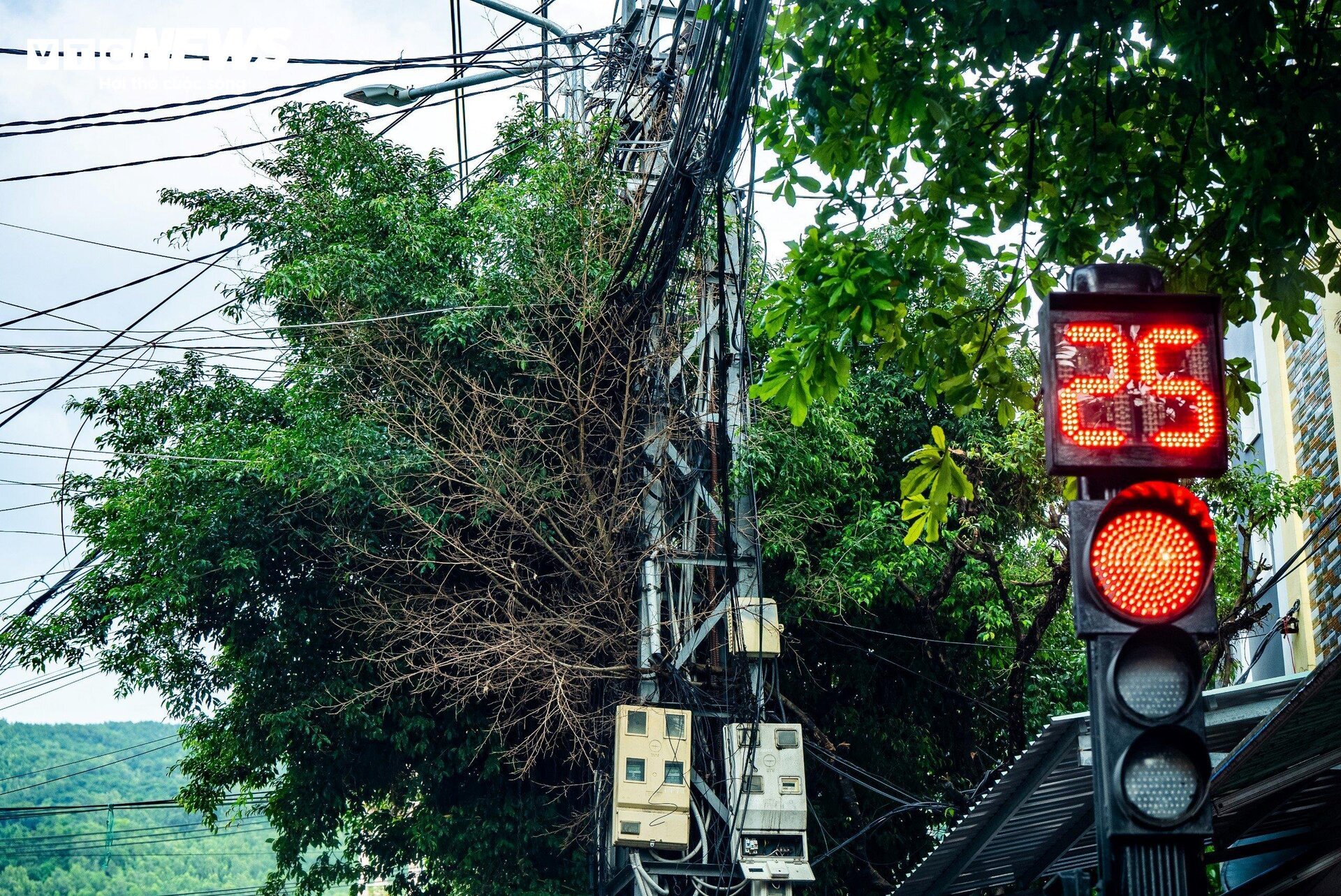 Dây điện, dây cáp như 'tơ vò', thòng lọng trên phố: Hiểm họa chực chờ ở Quy Nhơn - Ảnh 16.