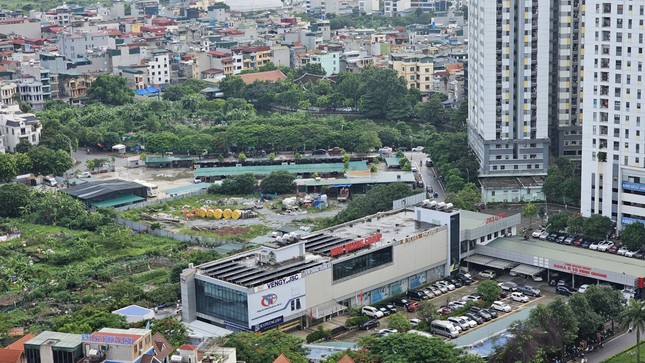 Hà Nội quy hoạch loạt ô đất xây trường học ở phường đông dân nhất - Ảnh 1.