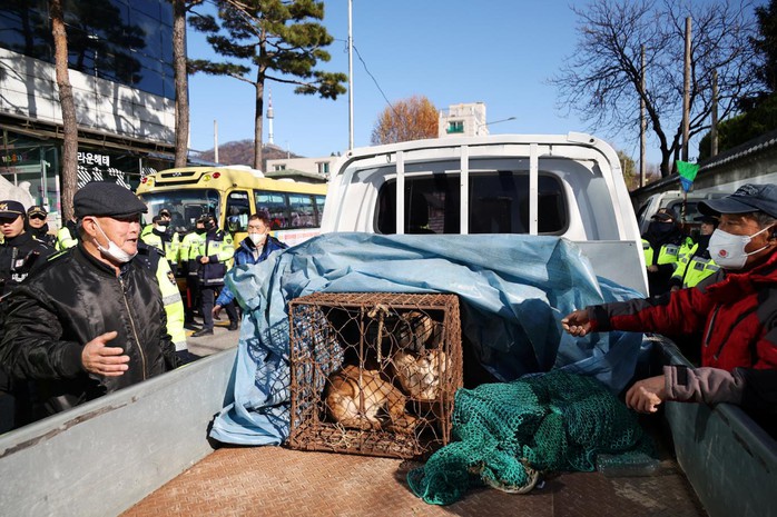 Người nuôi chó lấy thịt tiếp cận phủ tổng thống Hàn Quốc, xô xát với cảnh sát - Ảnh 2.