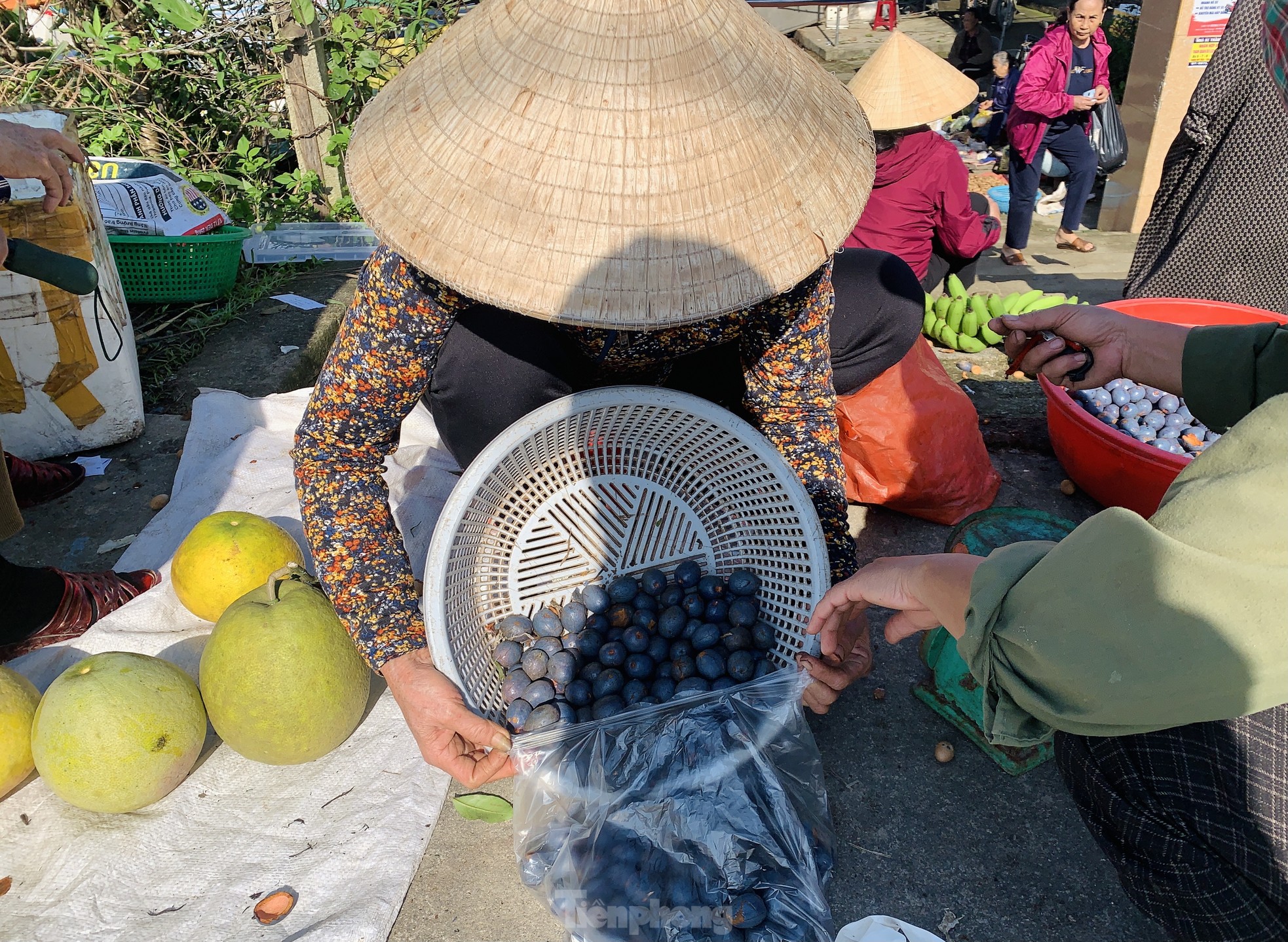 'Lên đời' nhờ loài cây mọc hoang trở thành món đặc sản - Ảnh 12.