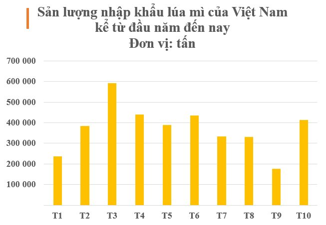 Một loại nông sản từ Canada đổ bộ Việt Nam với giá rẻ bất ngờ: Nhập khẩu tăng hơn 2.000% trong 10 tháng đầu năm, chỉ có 12 quốc gia đủ hàng để xuất khẩu - Ảnh 2.