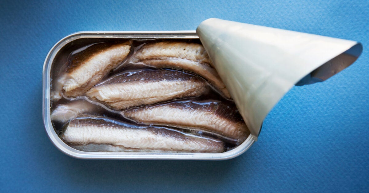 Loại cá nhiều canxi hơn sữa, giàu omega 3 lại ngăn ngừa tiểu đường: Có sẵn ở chợ Việt, nếu bắt gặp phải mua ngay - Ảnh 2.