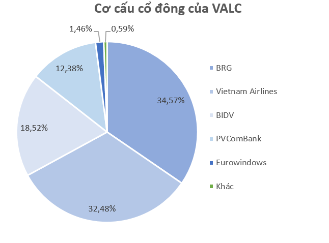 DN cho thuê máy bay duy nhất tại Việt Nam: 'Madame Nga' ngồi vào ghế Chủ tịch, được loạt 'ông lớn' hậu thuẫn, thu 3 đồng lãi 1 đồng - Ảnh 4.