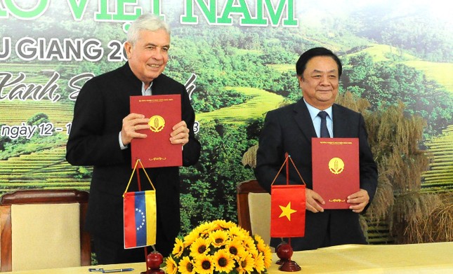 Philippines là thị trường xuất khẩu gạo số 1 của Việt Nam - Ảnh 1.