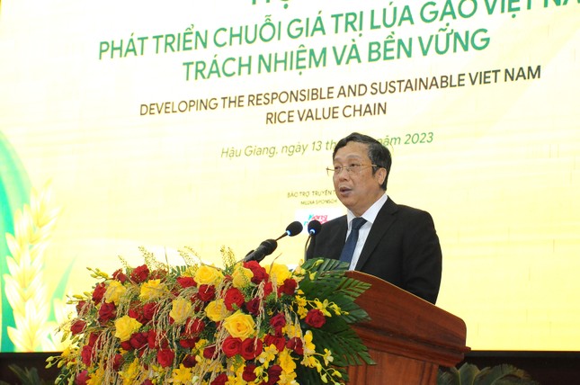 Xuất khẩu kỷ lục và những điểm nghẽn của lúa gạo Việt Nam - Ảnh 1.