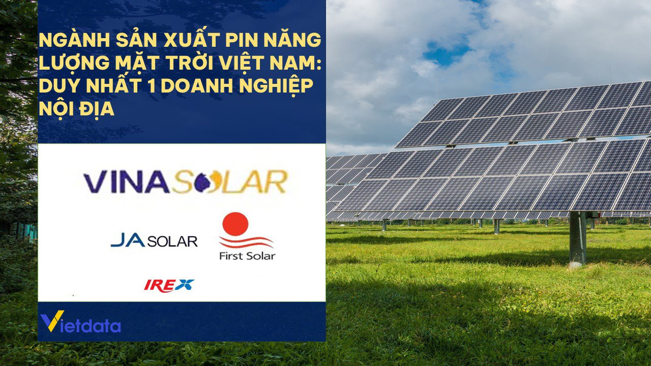 Khối ngoại “độc bá” thị trường pin năng lượng mặt trời tỷ USD tại Việt Nam - Ảnh 1.