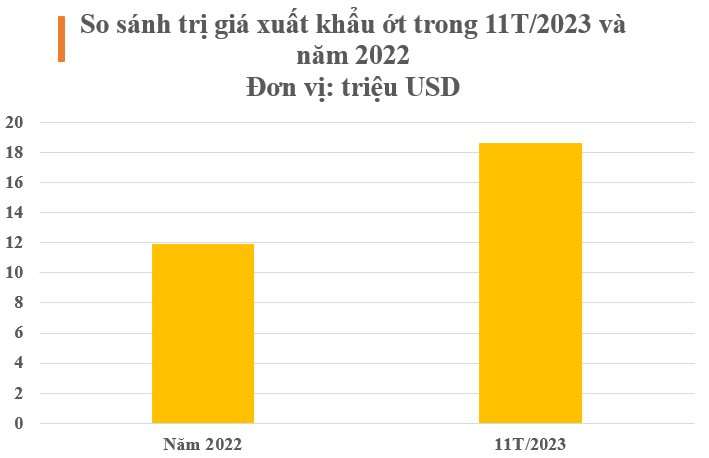Việt Nam sở hữu loại quả ‘một vốn mười lời’ được Lào, Trung Quốc đua nhau săn đón: Xuất khẩu tăng hơn 100%, thu về hàng chục triệu USD - Ảnh 2.
