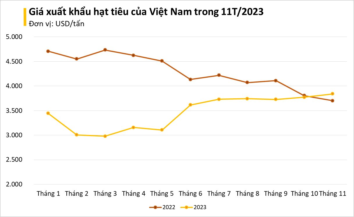 Một loại 'vàng đen' của Việt Nam bỗng ồ ạt đổ bộ Tây Phi: xuất khẩu tăng nóng hơn 200%, cả thế giới phụ thuộc vào Việt Nam - Ảnh 1.
