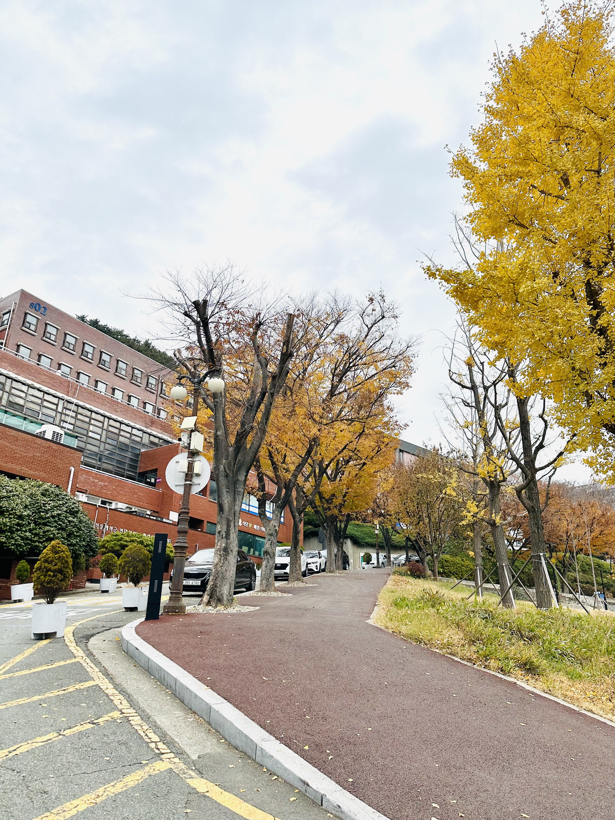 Đại học tư thục tốt nhất nhì Hàn Quốc: Ngôi trường trên núi đẹp như mơ, nhiều thành tích và không chỉ có thế!- Ảnh 8.