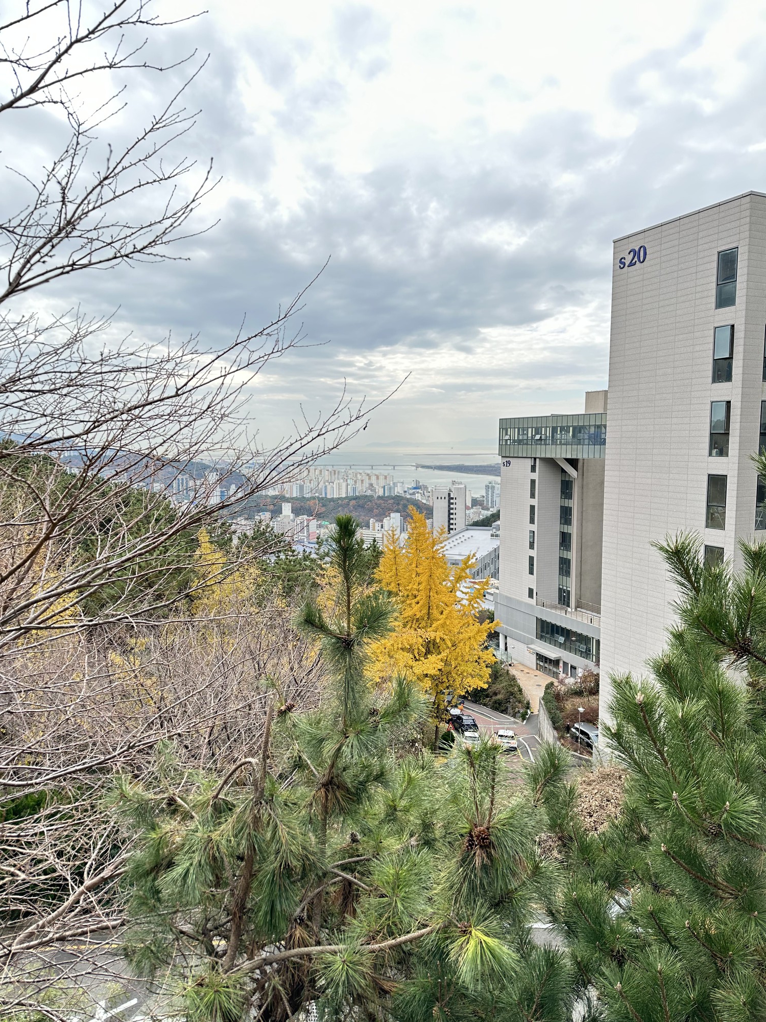 Đại học tư thục tốt nhất nhì Hàn Quốc: Ngôi trường trên núi đẹp như mơ, nhiều thành tích và không chỉ có thế!- Ảnh 11.