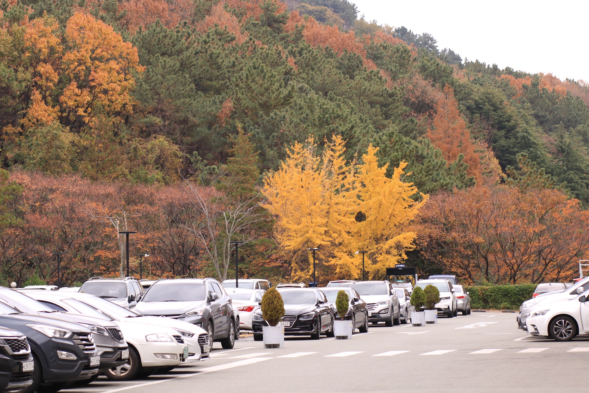 Đại học tư thục tốt nhất nhì Hàn Quốc: Ngôi trường trên núi đẹp như mơ, nhiều thành tích và không chỉ có thế!- Ảnh 6.