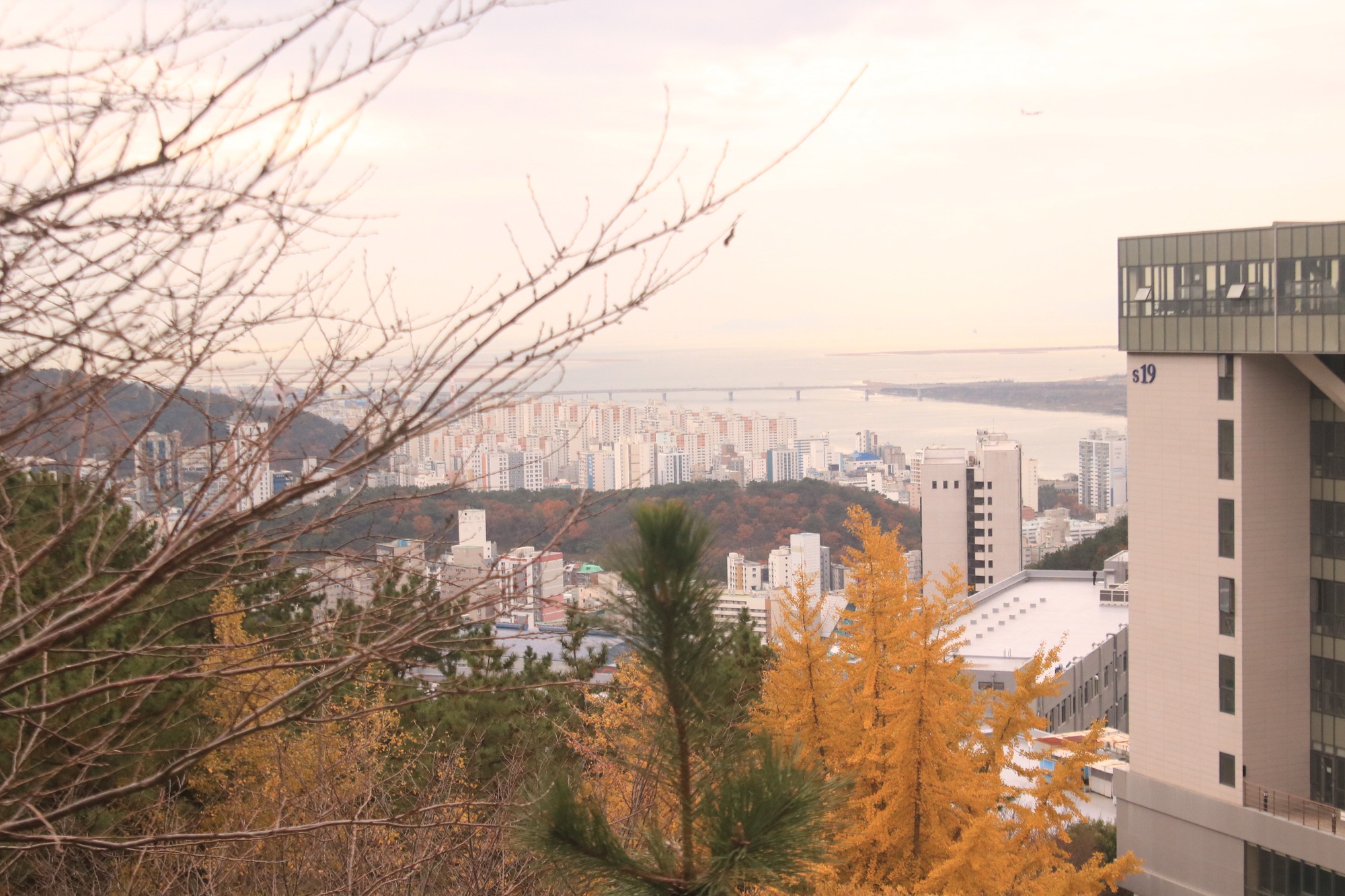 Đại học tư thục tốt nhất nhì Hàn Quốc: Ngôi trường trên núi đẹp như mơ, nhiều thành tích và không chỉ có thế!- Ảnh 7.