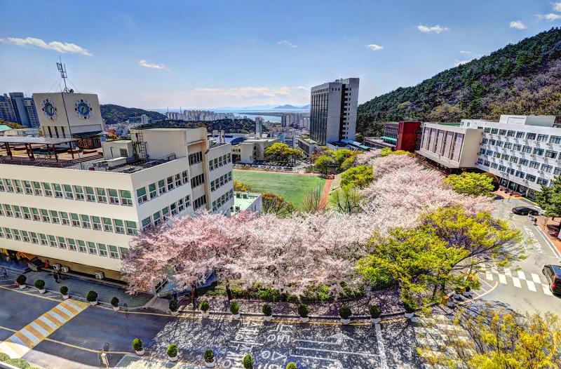 Đại học tư thục tốt nhất nhì Hàn Quốc: Ngôi trường trên núi đẹp như mơ, nhiều thành tích và không chỉ có thế!- Ảnh 1.