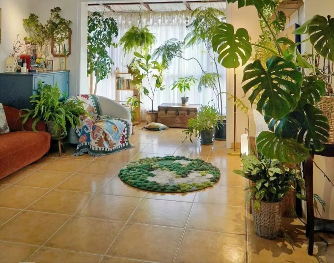 Sống một mình ở tuổi 81, cụ bà tự trồng cây cảnh trong nhà để làm thú vui mỗi ngày - Ảnh 3.