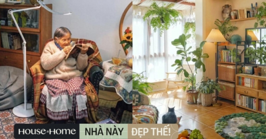 Sống một mình ở tuổi 81, cụ bà tự trồng cây cảnh trong nhà để làm thú vui mỗi ngày