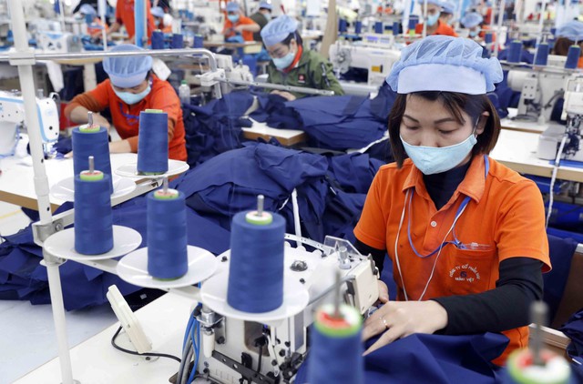 Nhật Bản có nhu cầu nhập khẩu nhiều mặt hàng thế mạnh của Việt Nam - Ảnh 2.