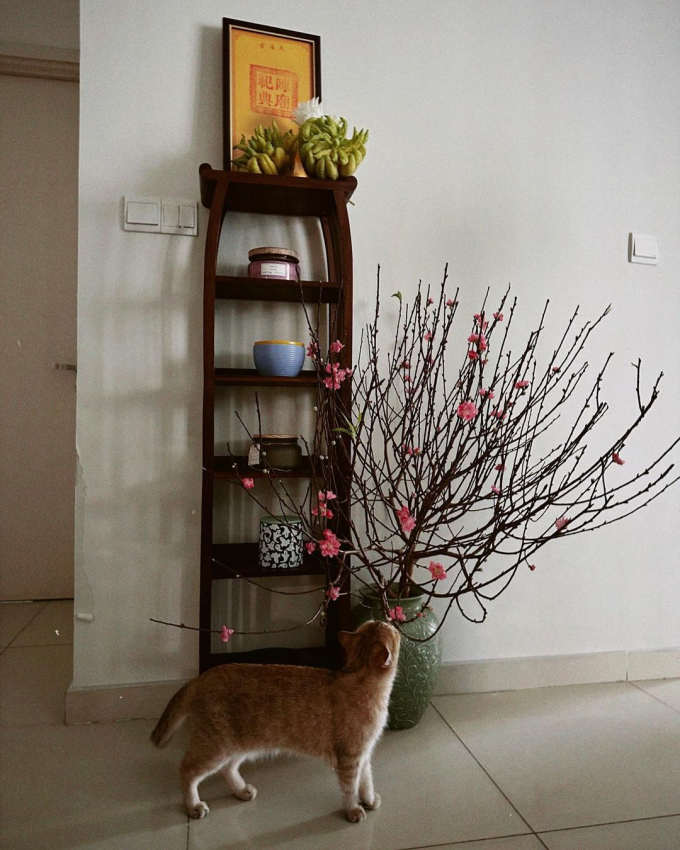 Soi căn hộ ở Hà Nội của Phương Ly: Thiết kế mộc mạc và truyền thống, trái ngược với tính cách của nữ chủ nhân - Ảnh 7.