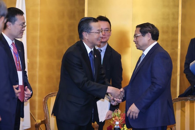Thủ tướng đề nghị ngân hàng Nhật Mizuho tham gia tái cấu trúc các ngân hàng yếu kém của Việt Nam - Ảnh 1.