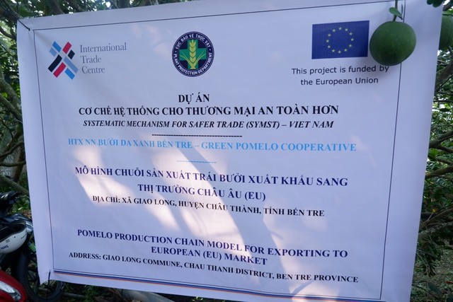 Từ case study HTX Nông nghiệp Bưởi Da Xanh Bến Tre đến hành trình phát triển của mô hình HTX ở Việt Nam: Có nhiều “bà đỡ” vẫn lắm gian nan - Ảnh 8.