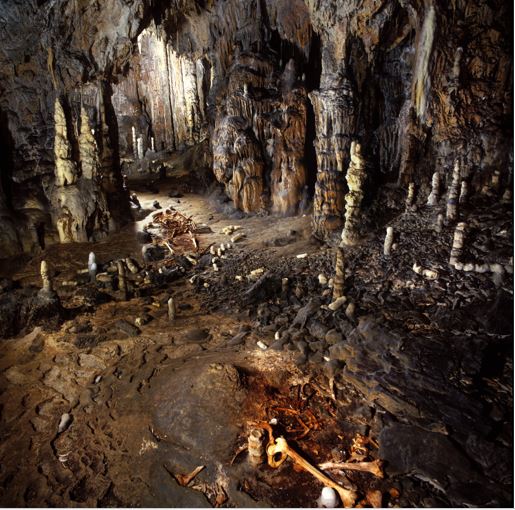 Bí ẩn hang động bị phong ấn 16.700 năm, là nơi chứa đựng &quot;kho báu&quot; của loài người - Ảnh 2.