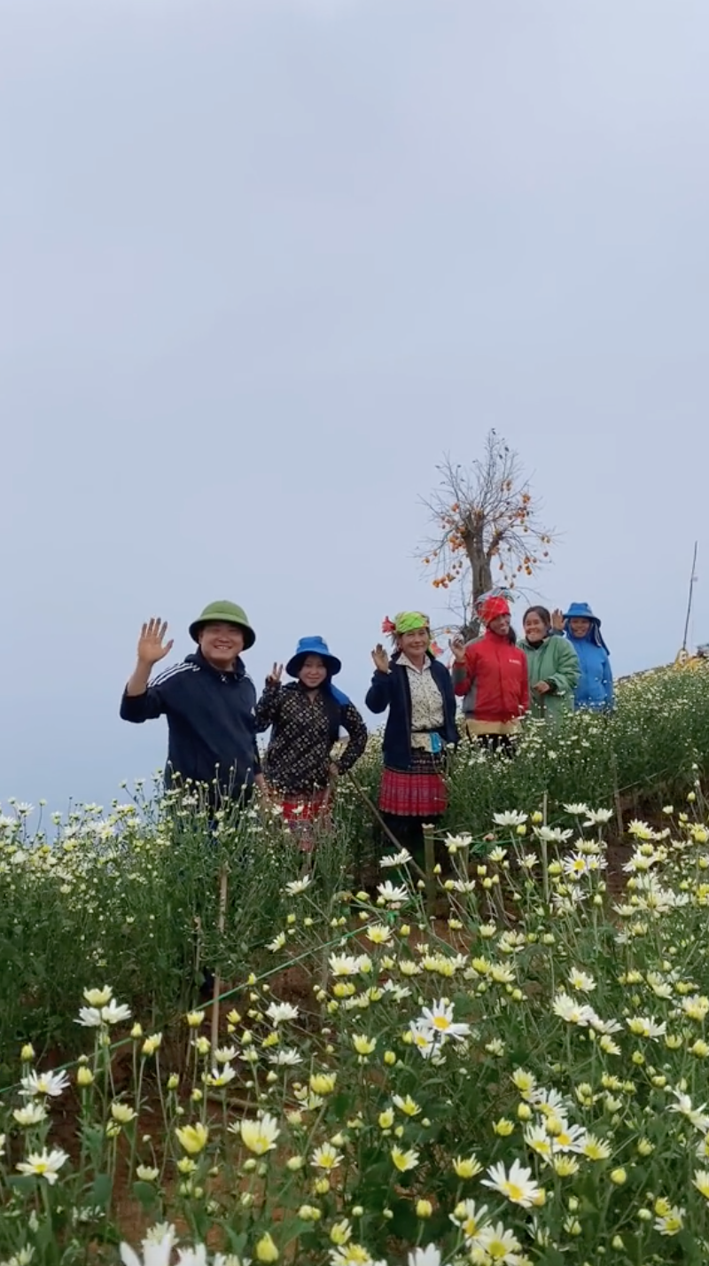 Điểm săn mây ngay vườn cúc hoạ mi được bà con vùng cao chung tay tạo nên, dân mạng thích thú ủng hộ- Ảnh 3.