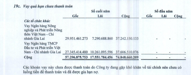 Hoàng Kim Tây Nguyên - &quot;Đại gia phố núi&quot; từng là thương hiệu khách sạn, tiệc cưới uy tín ở Gia Lai sắp bị bán đấu giá tài sản - Ảnh 5.