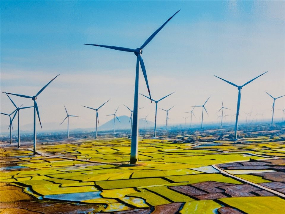 Trung Nam Group hợp tác với doanh nghiệp Trung Quốc làm cụm dự án điện gió 916 MW - Ảnh 1.