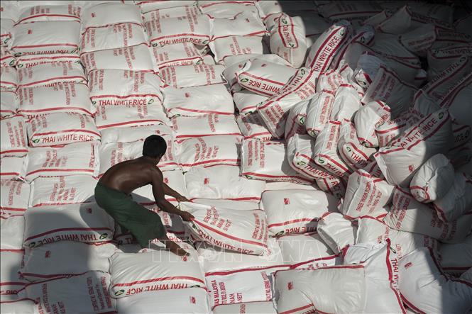 Thái Lan ước tính xuất khẩu gạo năm nay đạt 8,8 triệu tấn - Ảnh 1.