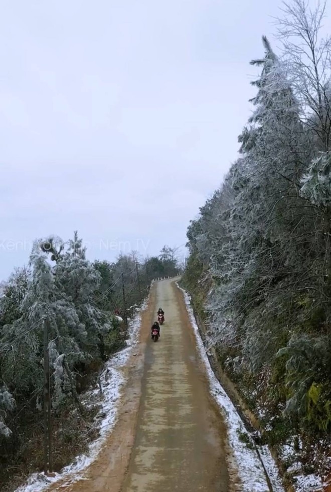 Con đường băng tuyết trắng xoá ngay tại Việt Nam khiến nhiều người bất ngờ, lập tức "truy lùng" địa điểm- Ảnh 6.