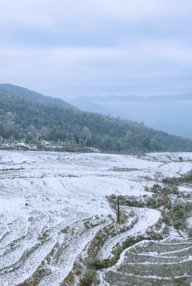 Con đường băng tuyết trắng xoá ngay tại Việt Nam khiến nhiều người bất ngờ, lập tức "truy lùng" địa điểm- Ảnh 7.