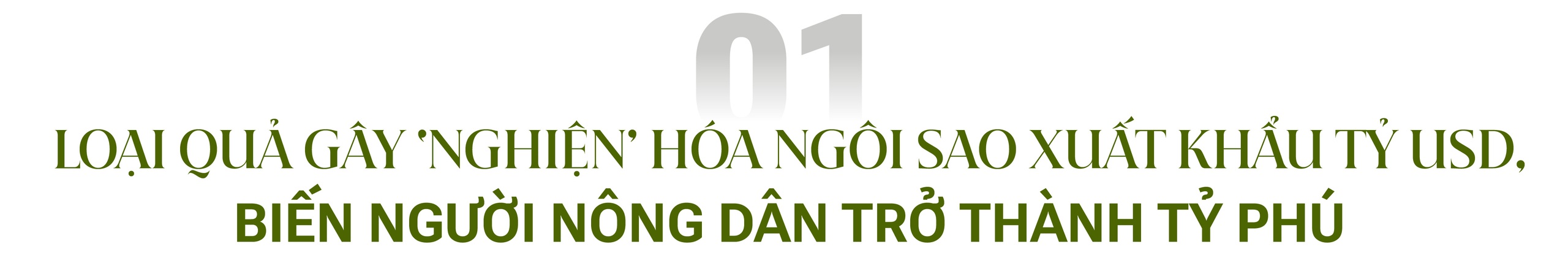 Khi vua trái cây Việt Nam lên ngôi vương 2023: Được người Trung Quốc đam mê ‘không lối thoát’, phá kỷ lục trở thành ‘kho báu’ xuất khẩu tỷ USD - Ảnh 1.