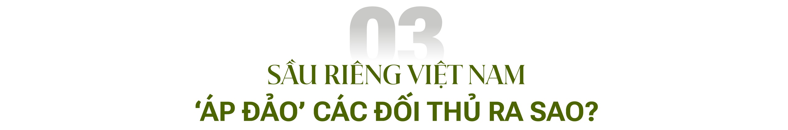 Khi vua trái cây Việt Nam lên ngôi vương 2023: Được người Trung Quốc đam mê ‘không lối thoát’, phá kỷ lục trở thành ‘kho báu’ xuất khẩu tỷ USD - Ảnh 9.