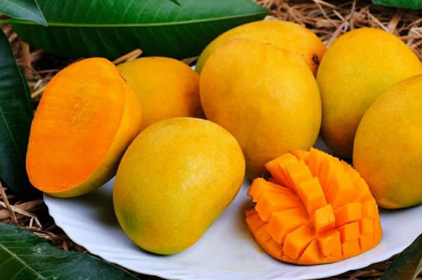 Một loại quả ngọt lịm nhưng có chỉ số đường huyết thấp, là “thuốc” chống ung thư tự nhiên: Luôn sẵn ở chợ Việt - Ảnh 1.