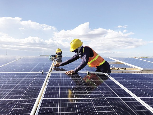 Phó Thủ tướng yêu cầu xử nghiêm sai phạm trong phát triển điện mặt trời, điện gió - Ảnh 1.