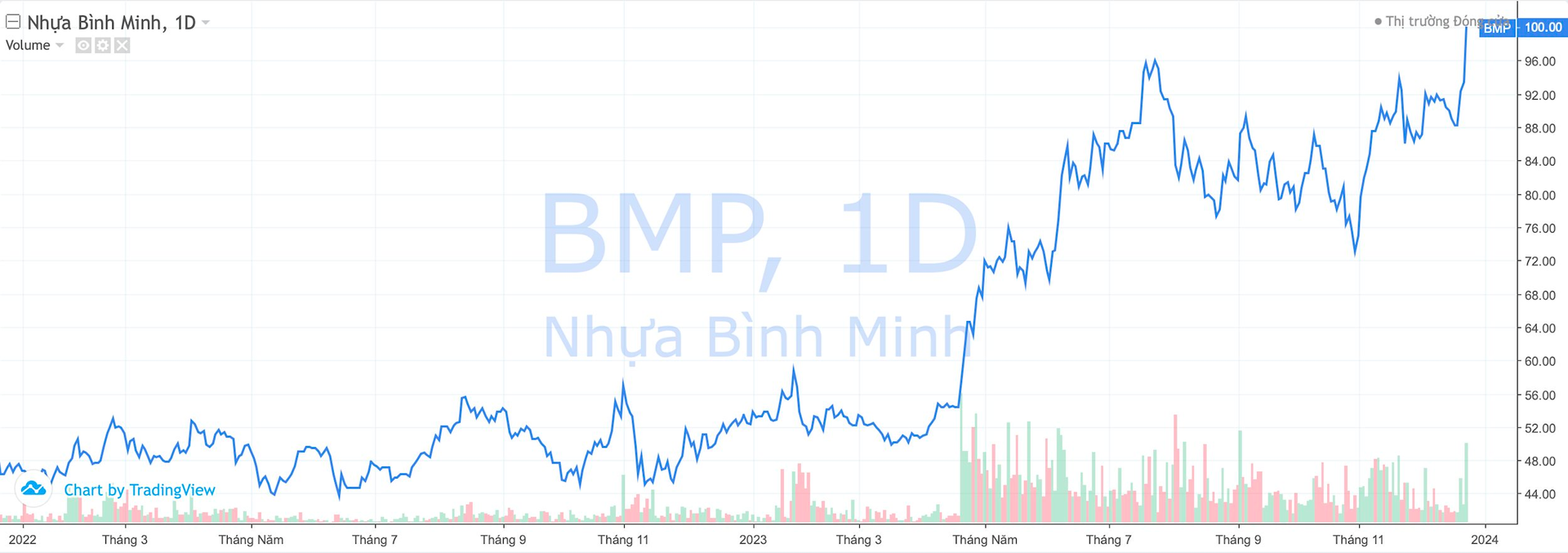 Cổ phiếu Nhựa Bình Minh (BMP) cán mốc 100.000 đồng, “đại gia” Thái Lan lãi đậm sau hơn 5 năm thâu tóm - Ảnh 1.