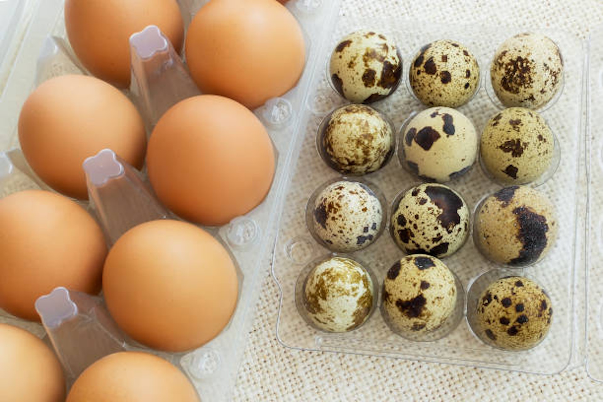 Loại trứng quen giá rẻ có cholesterol thấp hơn trứng gà, tăng gấp 3 lần trao đổi chất và bảo vệ mạch máu hiệu quả - Ảnh 3.