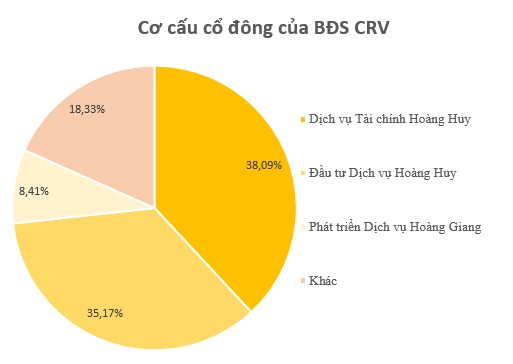 DN thuộc hệ sinh thái của TCH trúng thầu DA gần 5.000 tỷ tại Hải Phòng: Cầm hơn 4.500 tỷ tiền mặt, vốn tăng 6 lần trong một năm - Ảnh 2.