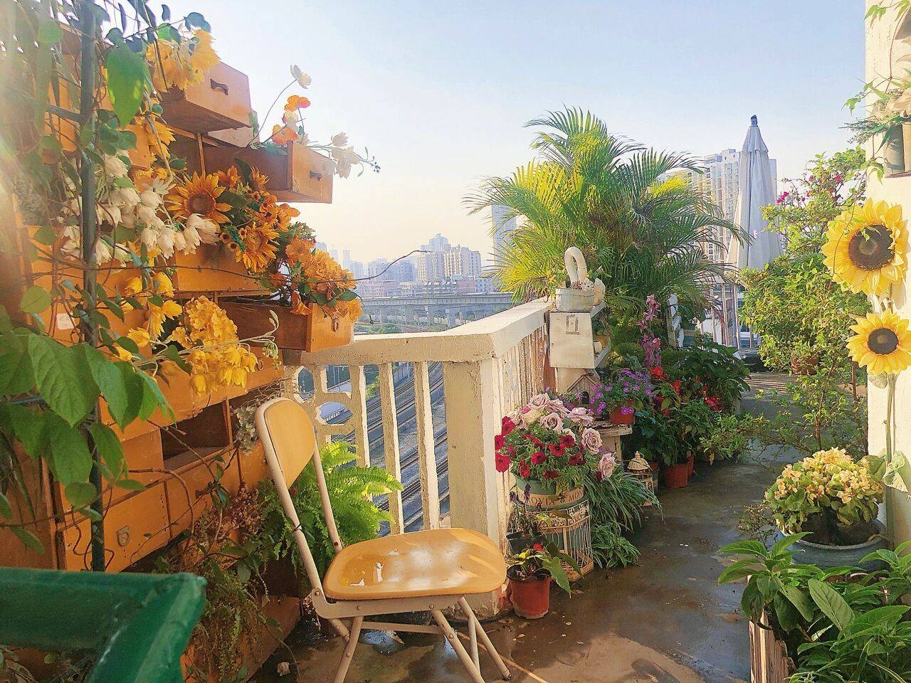 Đam mê với việc trồng hoa, cô gái 27 tuổi thuê nhà trên sân thượng để tạo ra khu vườn đẹp như tranh vẽ