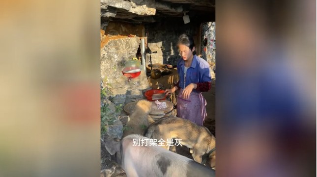 Trung Quốc: Thanh niên 21 tuổi ‘nghỉ hưu’, về dựng lều sống cheo leo trên núi - Ảnh 1.
