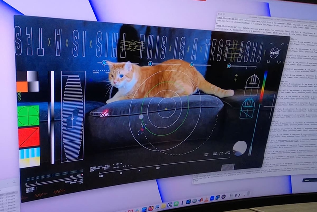 NASA 'tải xuống' thành công đoạn video quay mèo từ khoảng cách 31 triệu km ngoài không gian - Ảnh 2.