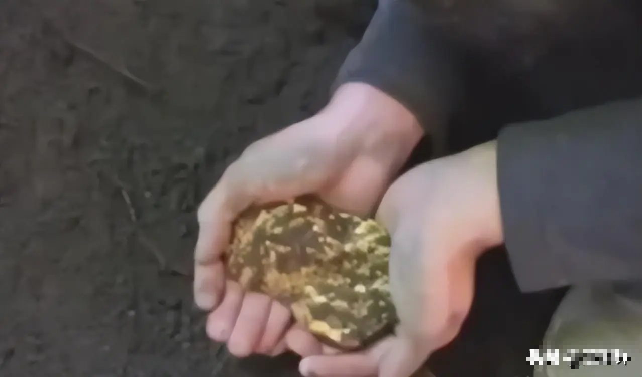 Mang 100kg vàng đi bán, vợ chồng U75 bị cảnh sát điều tra: &quot;Kho&quot; vàng lên đến nửa tấn bị phát hiện và thu giữ - Ảnh 2.